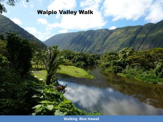 Waipio Valley Walk
Walking Blue Hawaii
 