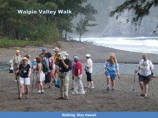 Walking Blue Hawaii
 