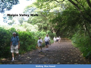 Walking Blue Hawaii
Waipio Valley Walk
 