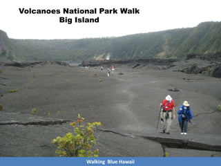 Walking Blue Hawaii
Volcanoes National Park Walk
Big Island
 