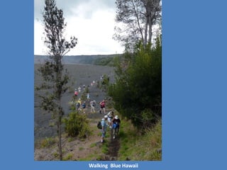 Walking Blue Hawaii
 
