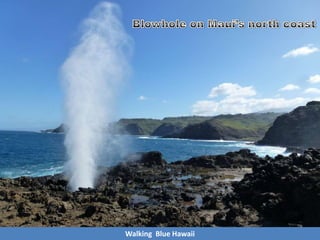 Walking Blue Hawaii
 