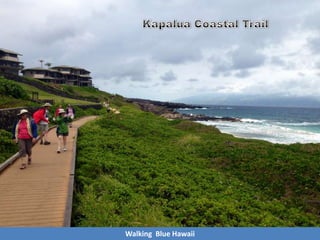 Walking Blue Hawaii
 