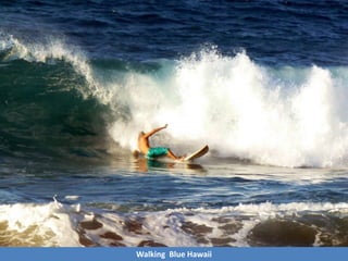 Walking Blue Hawaii
 