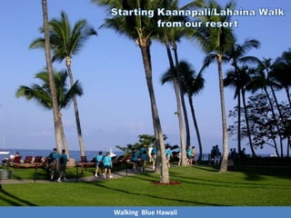 Walking Blue Hawaii
 