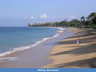 Walking Blue Hawaii
 