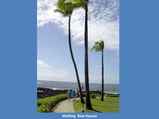 Walking Blue Hawaii
 