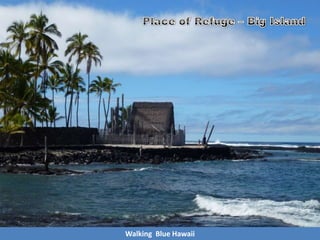 Walking Blue Hawaii
 