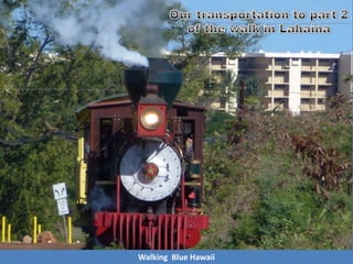 Walking Blue Hawaii
 