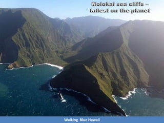 Walking Blue Hawaii
 
