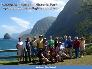 Walking Blue Hawaii
 