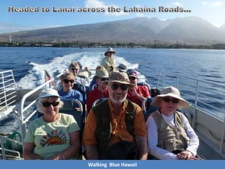 Walking Blue Hawaii
 