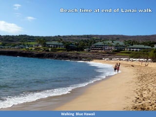 Walking Blue Hawaii
 
