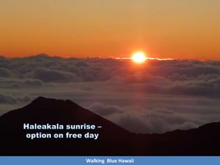 Walking Blue Hawaii
 