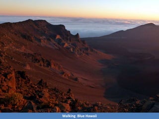 Walking Blue Hawaii
 