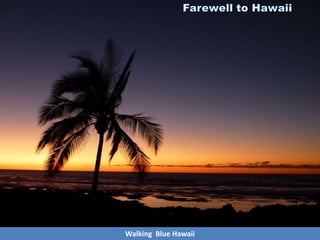 Walking Blue Hawaii
 