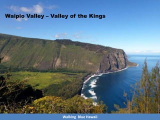 Waipio Valley – Valley of the Kings
Walking Blue Hawaii
 