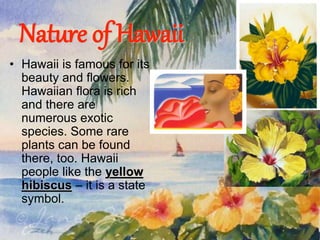 Nature of Hawaii 
• Hawaii is famous for its 
beauty and flowers. 
Hawaiian flora is rich 
and there are 
numerous exotic 
species. Some rare 
plants can be found 
there, too. Hawaii 
people like the yellow 
hibiscus – it is a state 
symbol. 
 