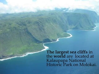 The largest sea cliffs in 
the world are located at 
Kalaupapa National 
Historic Park on Molokai. 
 