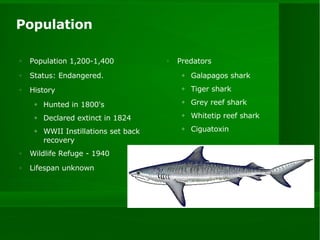 Population Population 1,200-1,400 Status: Endangered. History Hunted in 1800's Declared extinct in 1824 WWII Instillations set back recovery Wildlife Refuge - 1940 Lifespan unknown Predators Galapagos shark Tiger shark Grey reef shark Whitetip reef shark Ciguatoxin 