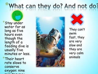 *
*Stay under
 water for as
 long as five       They can’t
 hours even         swim
 though the         fast, they
 length of a        are very
 feeding dive is    slow and
 usually five       they are
 minutes or less.   very calm
                    animals
*Their heart
 rate slows to
 conserve
 oxygen: nine
 