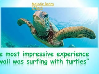 Melodie Bohny
          2ºBach




e most impressive experience
waii was surfing with turtles”
 