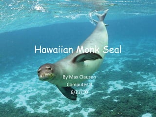 Hawaiian Monk Seal By Max Clausen Computer 9 6/23/10 
