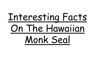 Interesting FactsOn The Hawaiian Monk Seal 