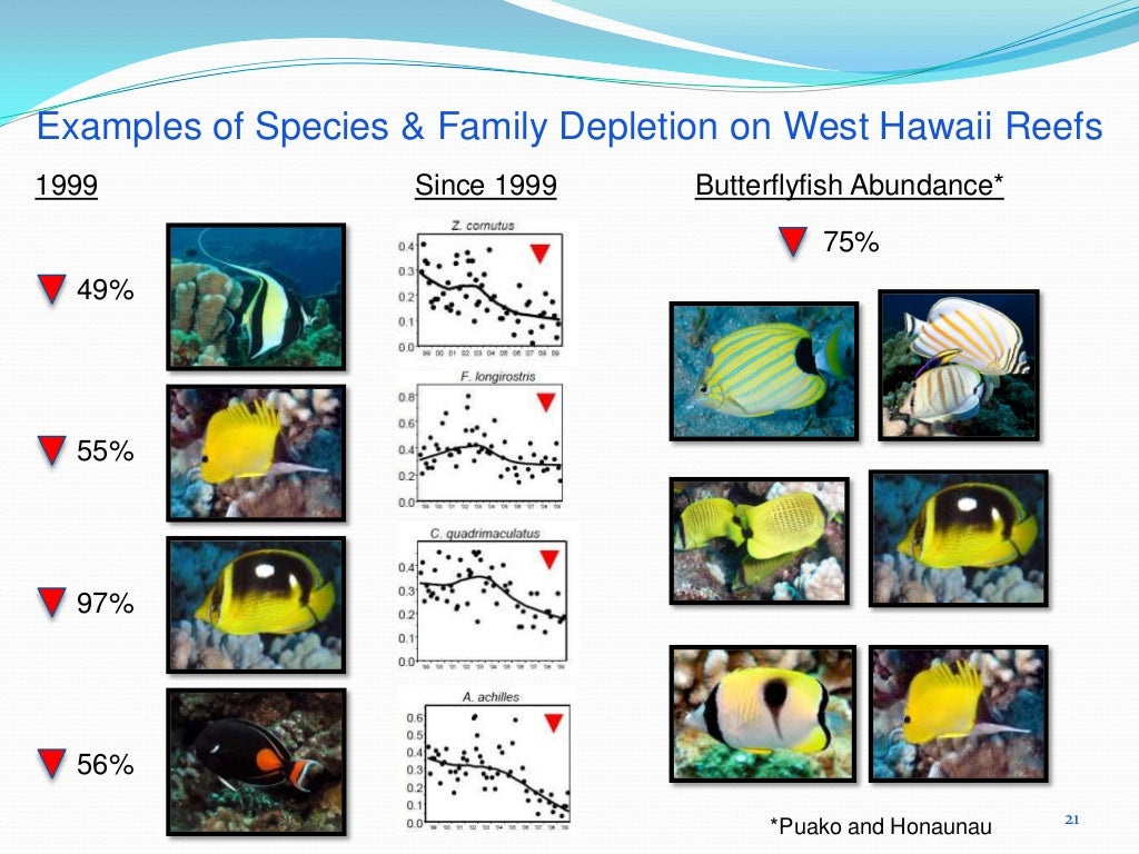 Hawaii aquarium trade impacts
