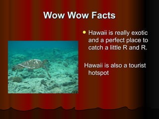 Wow Wow Facts Hawaii is really exotic and a perfect place to catch a little R and R. Hawaii is also a tourist hotspot 