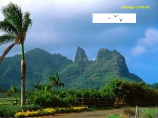 Paysage ile Kauai 