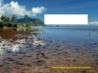 Marée basse dans la baie de Kaneohe 