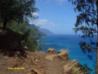 Côtes de Na Pali 