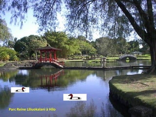 Parc Reine Liliuokalani à Hilo 