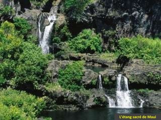 L’étang sacré de Maui 