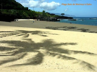 Plage Baie de Waimea à Oahu 