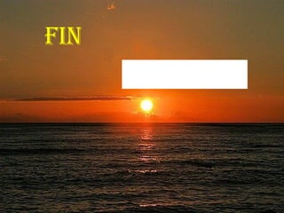 FIN 
