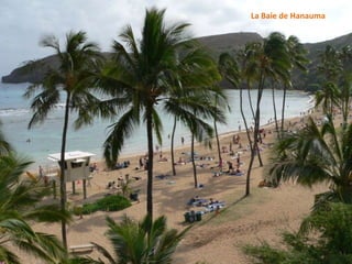 La Baie de Hanauma 