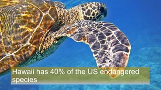 Hawaii has 40% of the US endangered
species
 