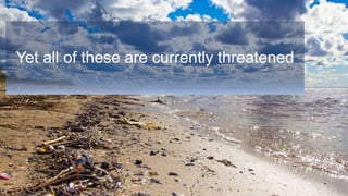 Yet all of these are currently threatened
 