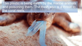 This plastic is being eaten by the marine animals
and poisoning them. The trash also is a threat to
the coral reefs.
 