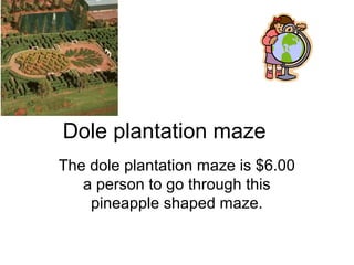 Dole plantation maze
The dole plantation maze is $6.00
a person to go through this
pineapple shaped maze.
 