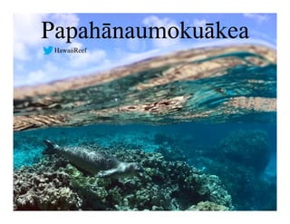 Hawaii on the Social Web