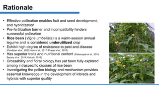 Rationale
• Effective pollination enables fruit and seed development,
and hybridization
• Pre-fertilization barrier and incompatibility hinders
successful pollination
• Rice bean (Vigna umbellata) is a warm-season annual
legume and is considered underutilized crop
• Exhibit high degree of resistance to pest and disease
(Pandiyan et al., 2020; Nair et al., 2017; Pratap et al., 2013)
• Has superior traits and nutritional content (Pattanayak et al., 2019;
Bepary et al., 2016; Katoch, 2013)
• Crossability and floral biology has yet been fully explored
among intraspecific crosses of rice bean
• Investigating the pollen biology and mechanism provides
essential knowledge in the development of inbreds and
hybrids with superior quality
 