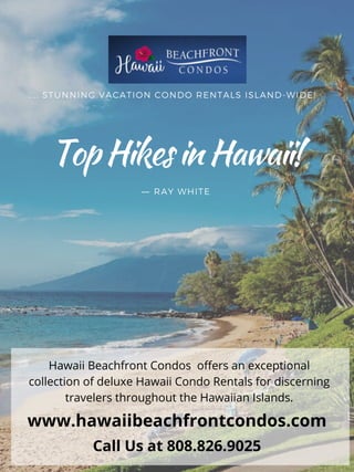 TopHikesinHawaii!
― RAY WHITE
.... STUNNING VACATION CONDO RENTALS ISLAND-WIDE!
Hawaii Beachfront Condos offers an exceptional
collection of deluxe Hawaii Condo Rentals for discerning
travelers throughout the Hawaiian Islands.
www.hawaiibeachfrontcondos.com
Call Us at 808.826.9025
 