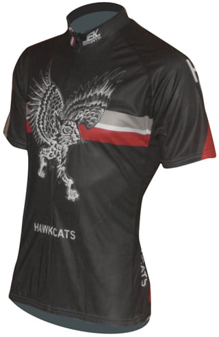 Hawkcats bicycle jersey