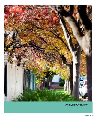 Page 9 of 74
Analysis Overview
 