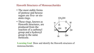 • The most stable forms
of pentose and hexose
sugars are five- or six-
atom rings.
• These rings, known as
Haworth structures, are
produced from the
reaction of a carbonyl
group and a hydroxyl
group in the same
molecule.
Haworth Structures of Monosaccharides
Learning Goal Draw and identify the Haworth structures of
monosaccharides.
 