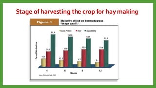 Hay (1).ppt agronomy hay types and formation | PPT