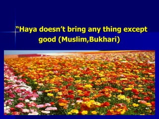 Society enriched with haya